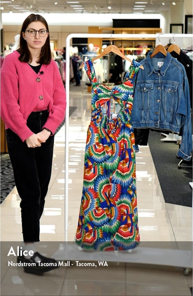 Chevron Toucans Midi Dress, sales video thumbnail