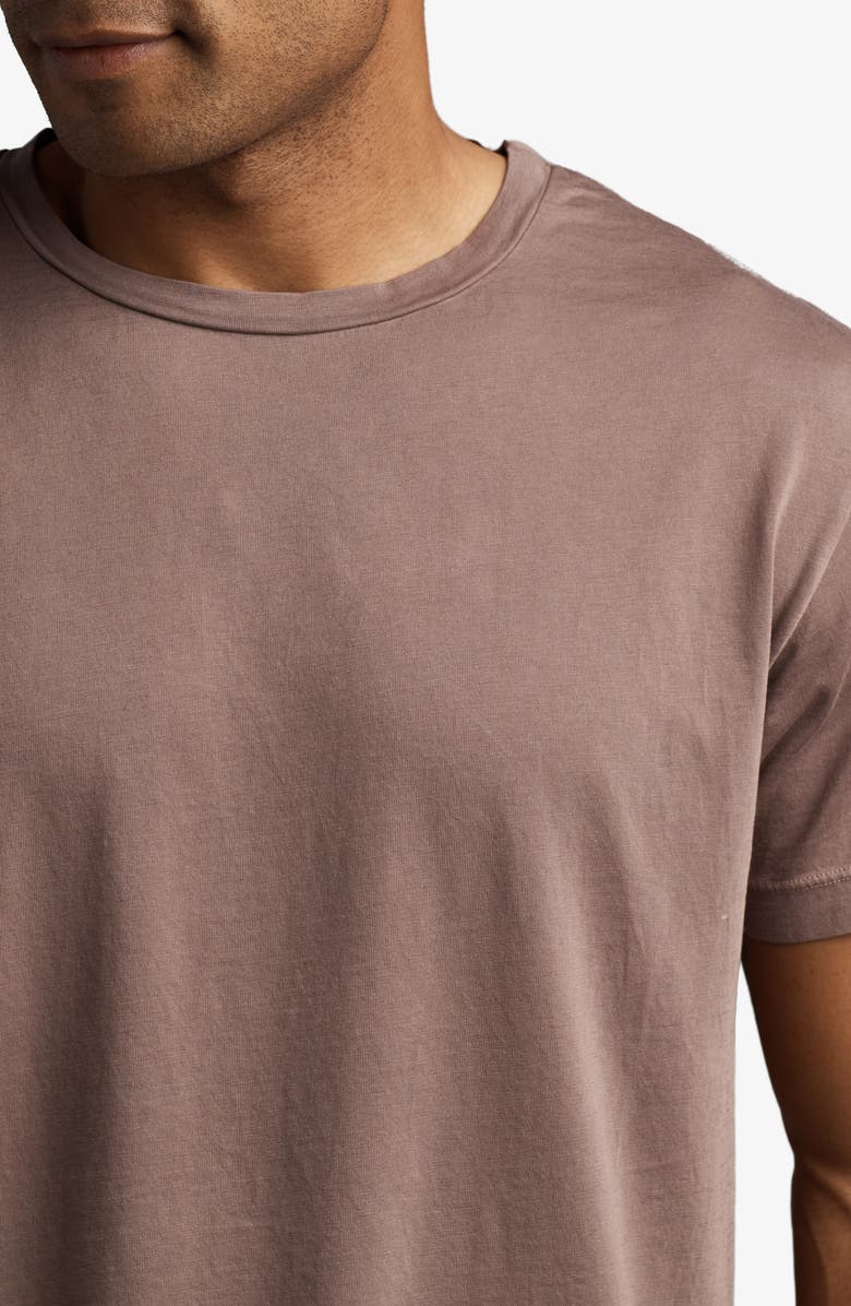 Rowan Asher Standard Cotton T-Shirt, Alternate, color, Red Rock