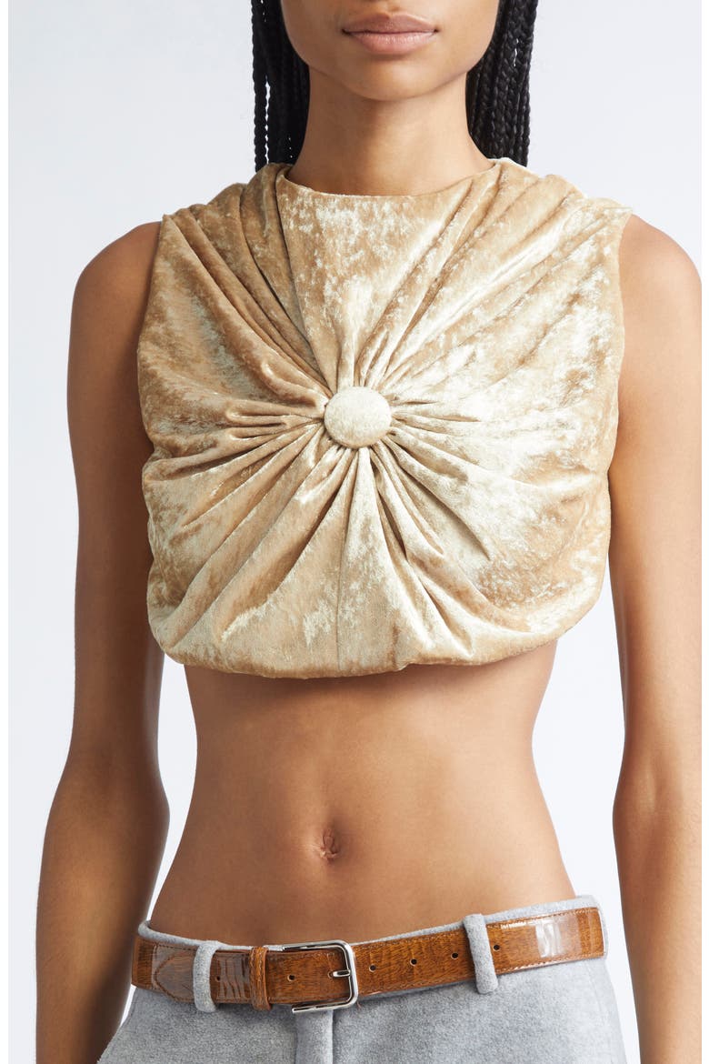Tilda Velvet Cushion Crop Top, Alternate, color, GOLD