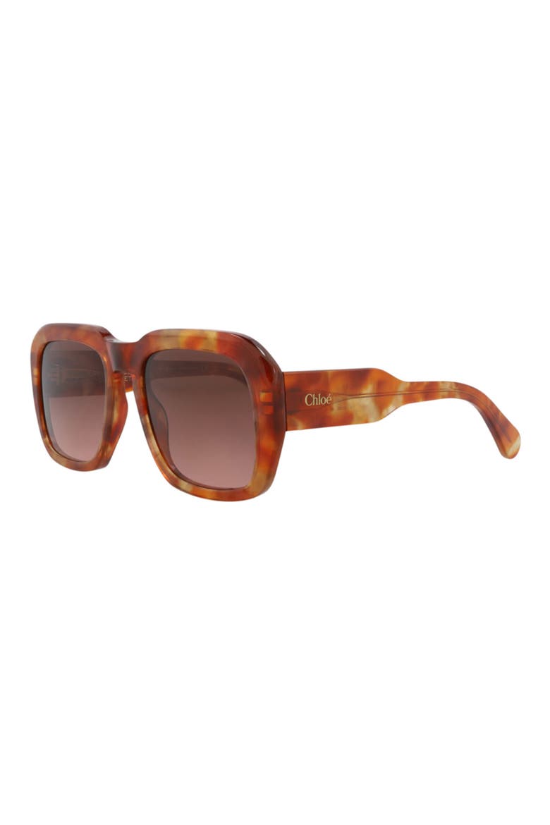 54mm Square Sunglasses, Alternate, color, HAVANA HAVANA RED