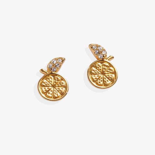 Alex And Ani Summer Fruits Orange Slice Stud