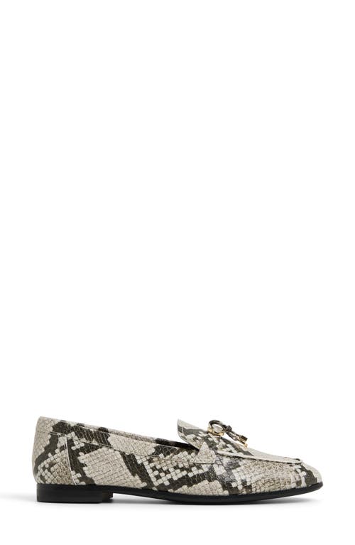 Aldo Ybilide Loafer In Multi