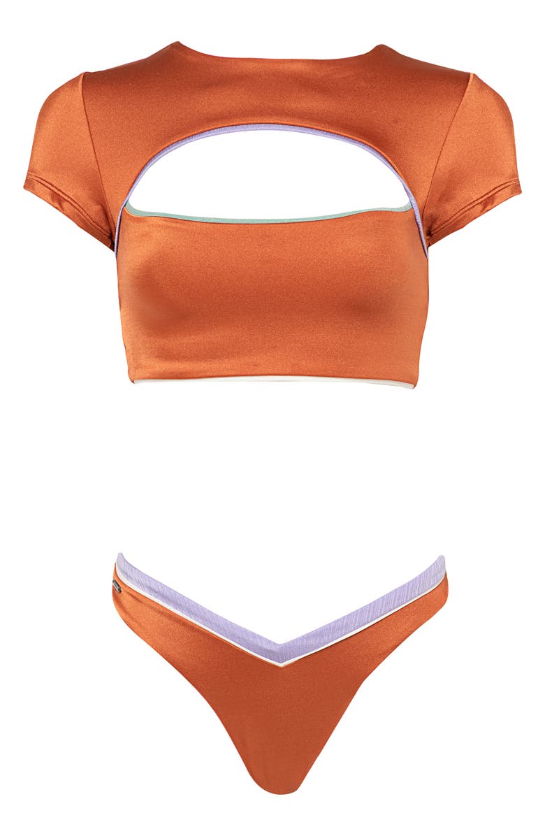 Maaji Satin Umber Resplendent Reverisble Bikini Bottoms, Alternate, color, 