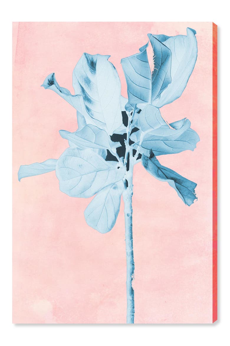 Fig Tree Leafy Blue Canvas Wall Art, Main, color, PINK