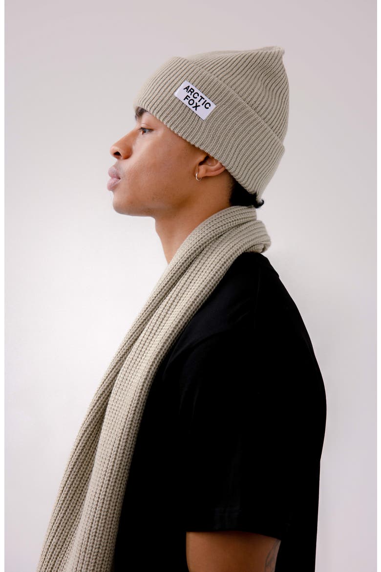 The Recycled Bottle Beanie, Alternate, color, ARCTIC GREY