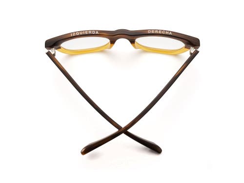 Caddis D28 | Reading Glasses