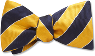 Beau Ties of Vermont Scholastic Bow Tie