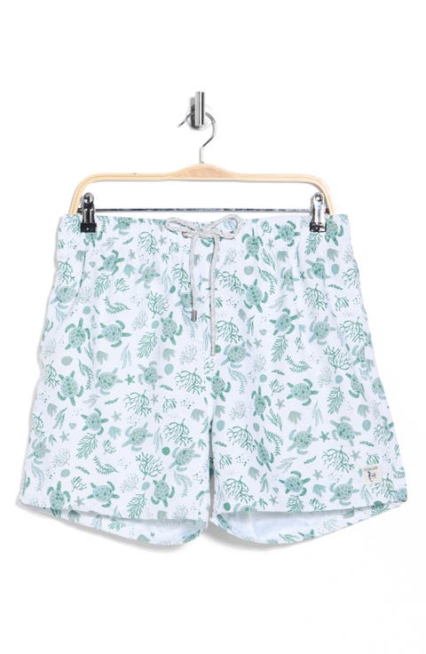 Turtle Print Swim Shorts