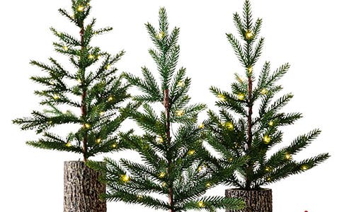 Balsam Hill Lit Evergreen Saplings Set Of 3 Tabletop Trees In Green