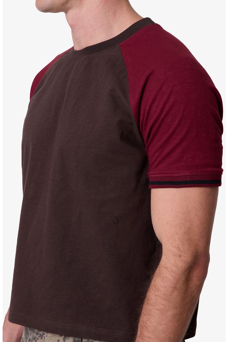 Vintage Raglan Cotton T-Shirt, Alternate, color, BROWN/ BURGUNDY