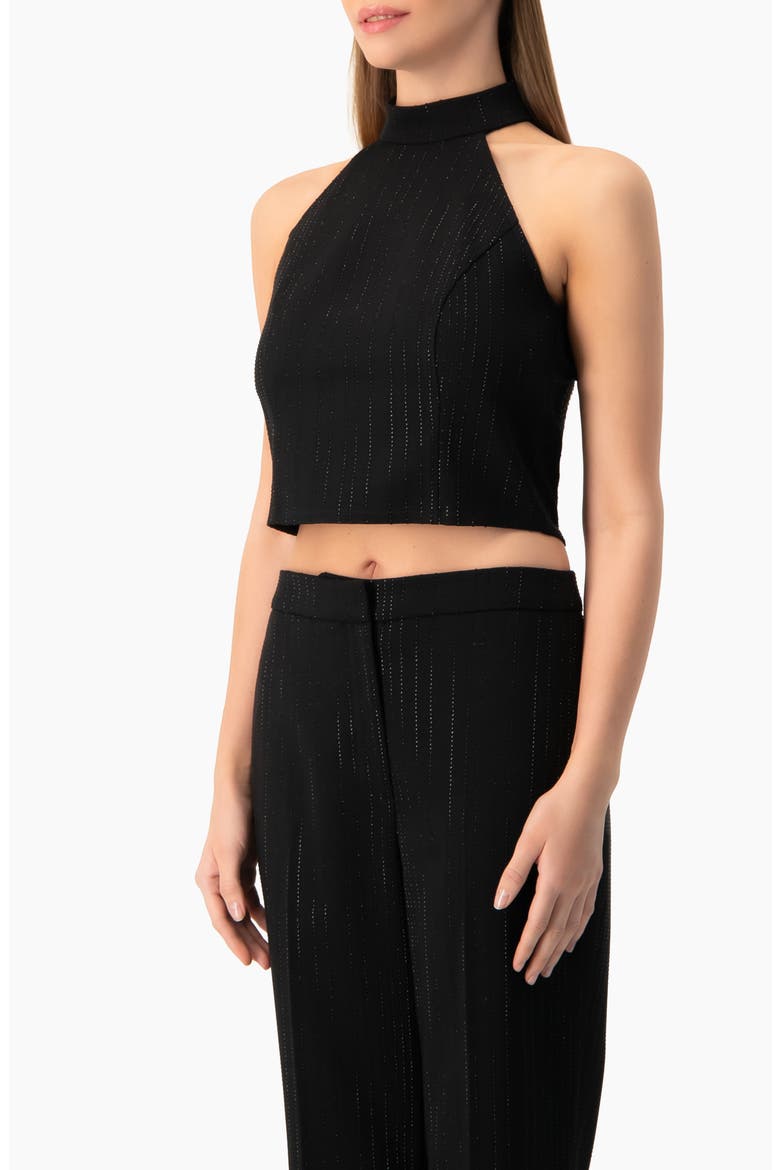 Halter-Neck crystal-adorned Sleeveless Crop Top, Alternate, color, Black