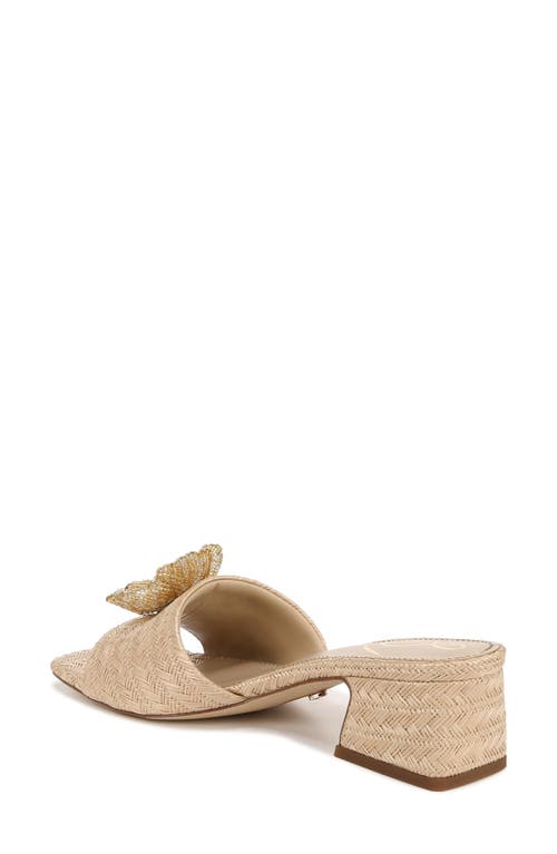 Sam Edelman Winsley Raffia Slide Sandal In Brown