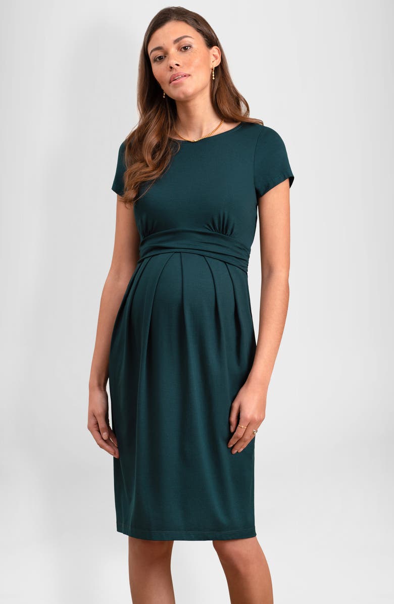 Seraphine Pleated Waist Maternity/Nursing Dress, Alternate, color, 