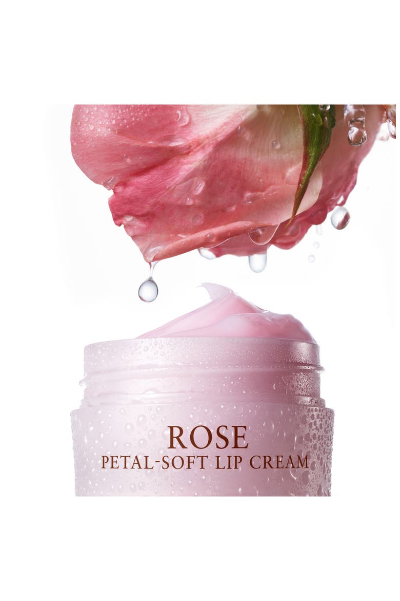 Rose Petal-Soft Lip Cream Deep Hydration Balm, Alternate, color, NO COLOR