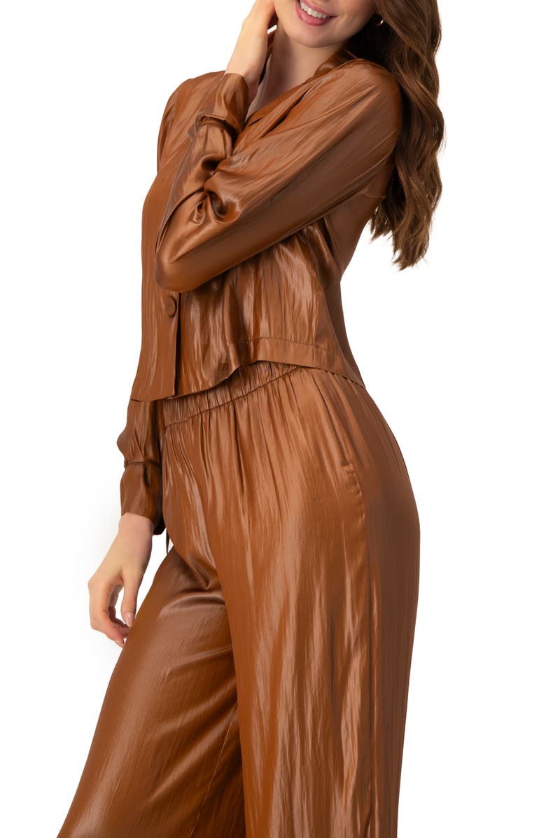 IVONNE Two Button Shirt with Sleeve Ties, Alternate, color, Brown