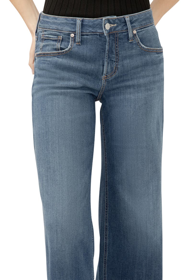 Suki Curvy Mid Rise Wide Leg Jeans, Alternate, color, PALOMA