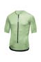  Spring Green