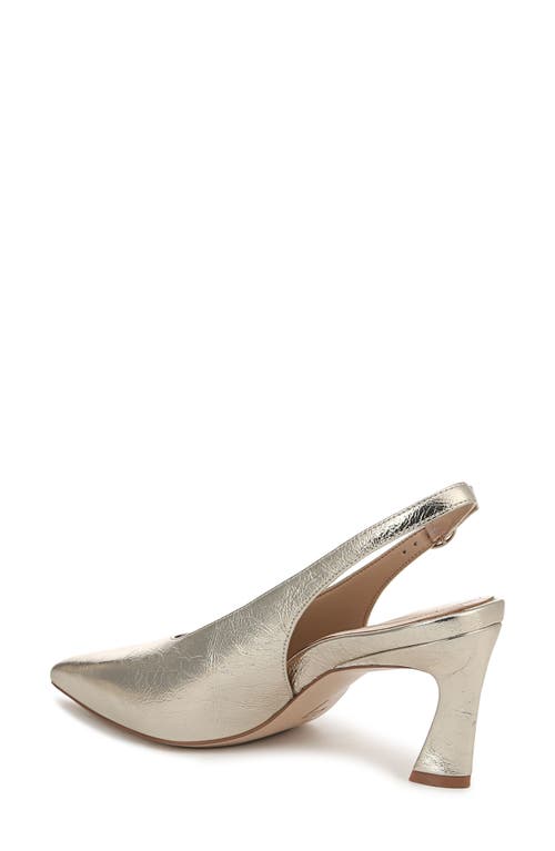 27 Edit Naturalizer Elaine Slingback Pointed Toe Pump In Champagne