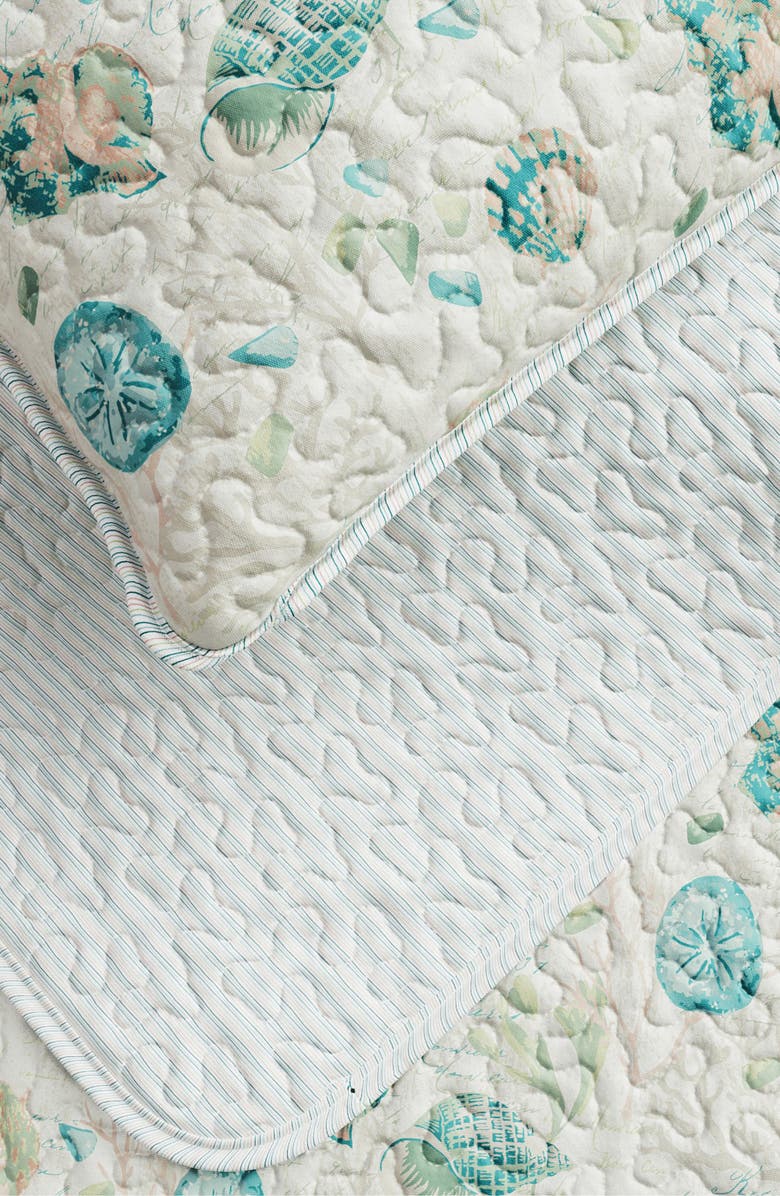 Woven & Weft Coastal Seashell Quilt & Sham Set, Alternate, color, Shells