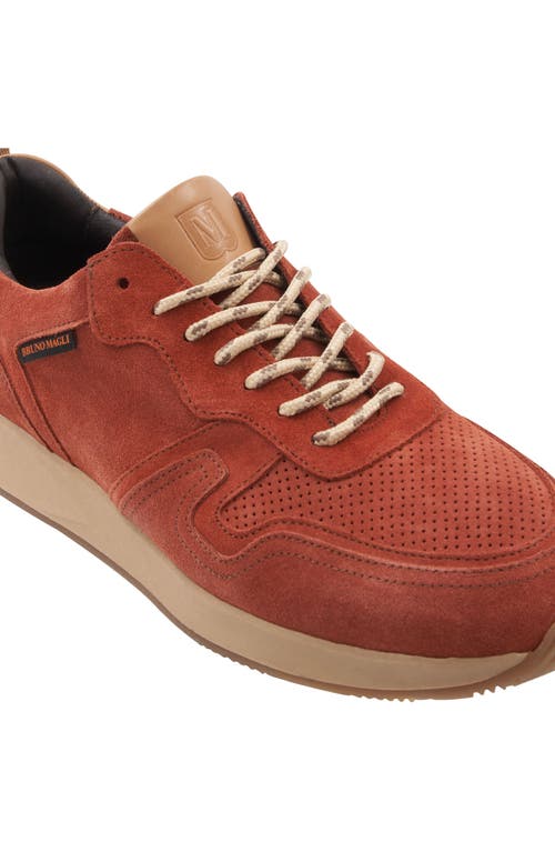 Bruno Magli Capri Sneaker In Sunset Suede
