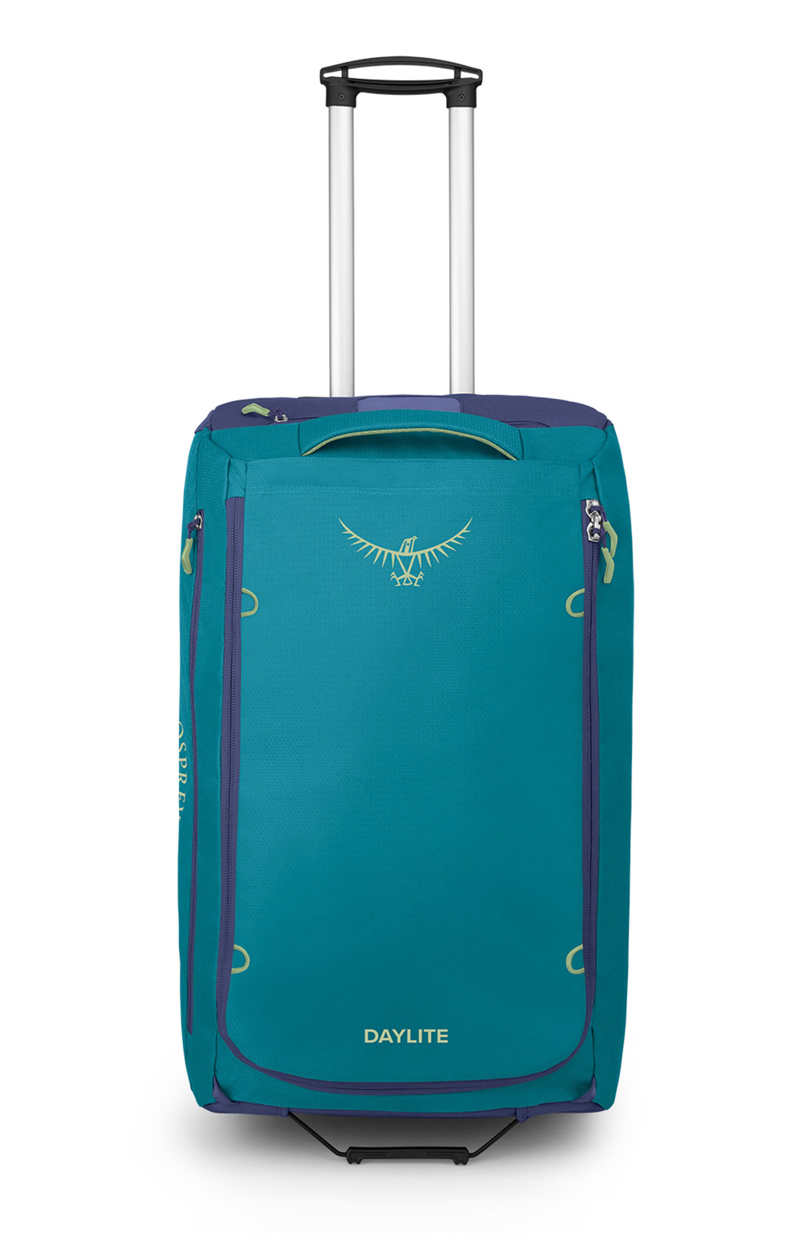  Blue Spikemoss/ Alkaline