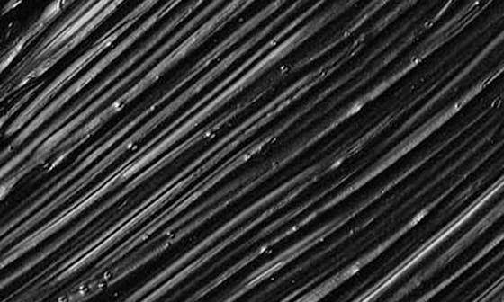 selected INTENSE BLACK