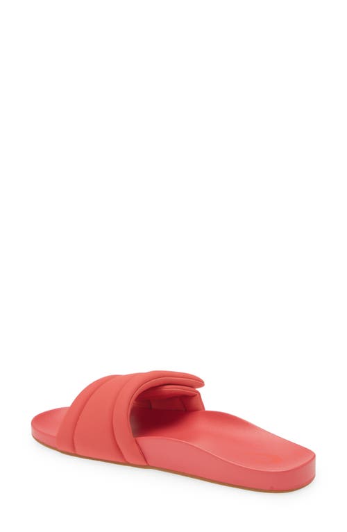 Olukai Sunbeam Slide Sandal In Red