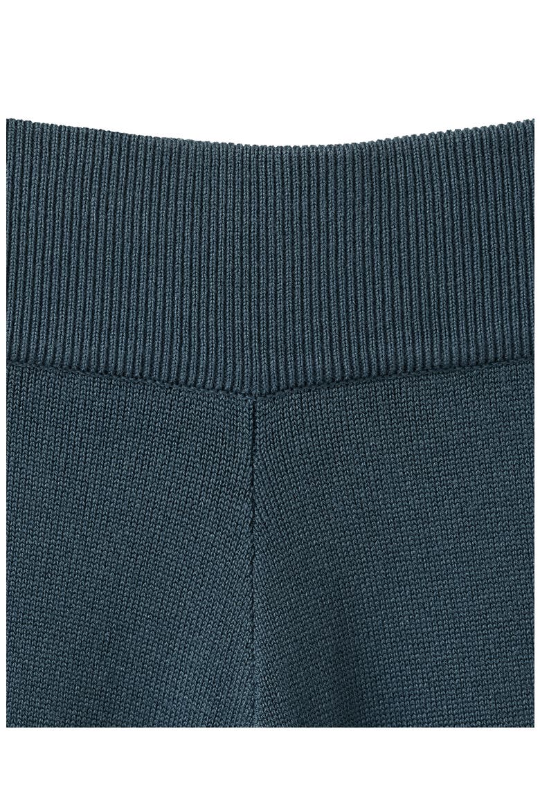 Knit Wide Leg Trousers, Alternate, color, BLUE