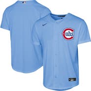 Nike Youth Nike Light Blue Chicago Cubs Alternate Replica Jersey