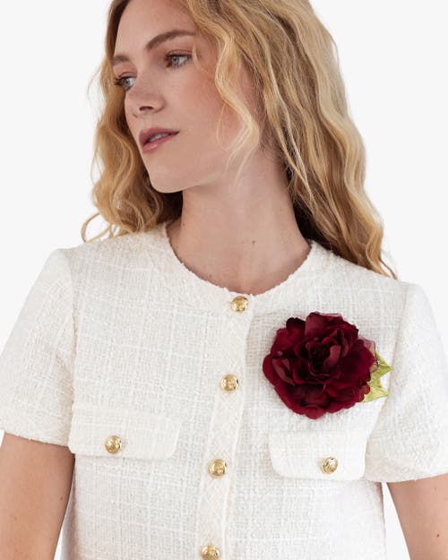 Helena Simon The Small Red Rose In Red