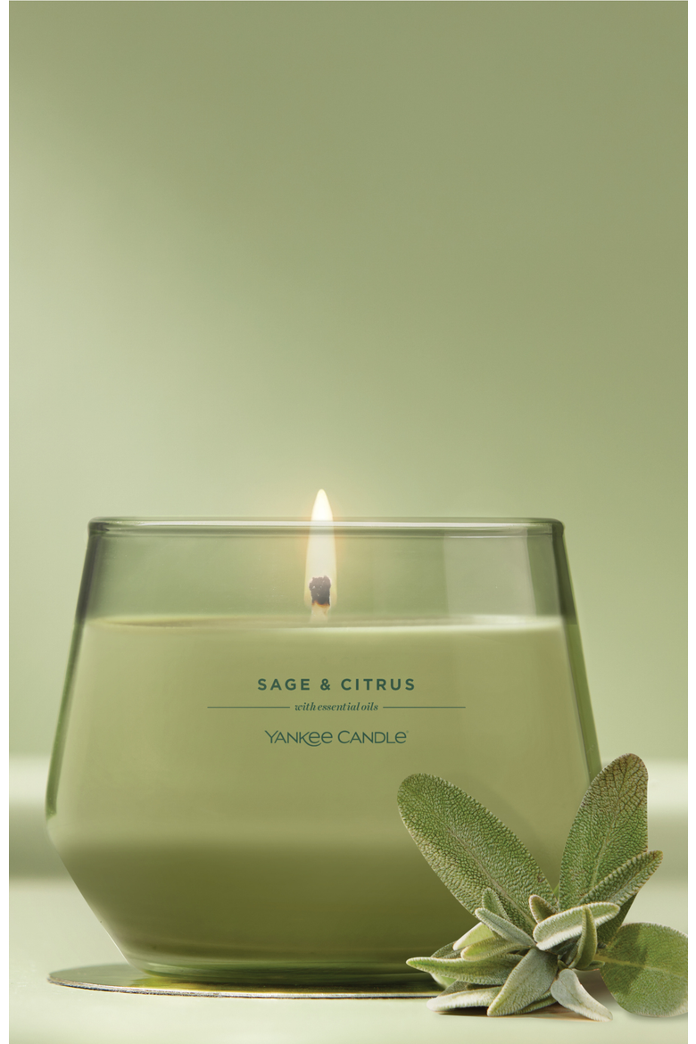 Sage & Citrus Studio Candle with Essential Oils, Set of 2, Alternate, color, Green