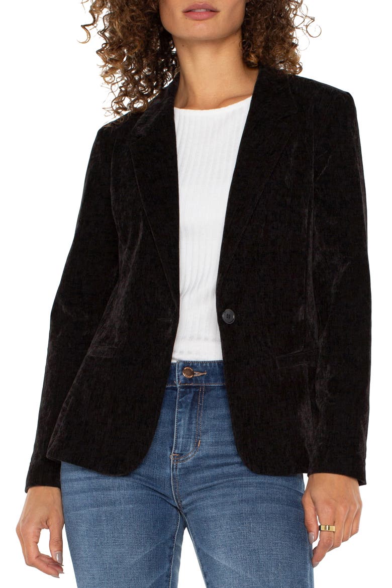 Fitted Velvet Blazer, Alternate, color, BLACK