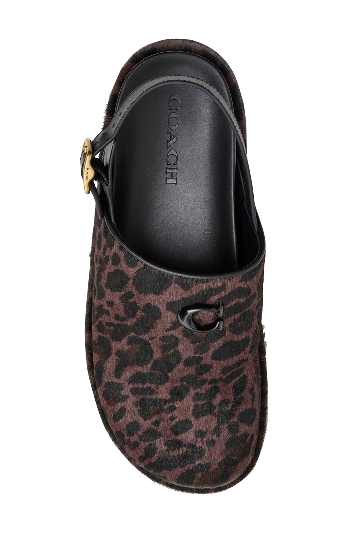 COACH Sculpted C Genuine Calf Hair Slingback Platform Clog, Alternate, color, 