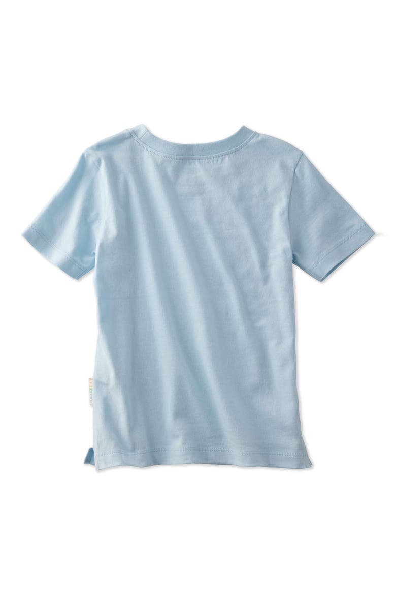 Kids' Taylor Short Sleeve Organic Cotton Assorted 5-Pack T-Shirts, Alternate, color, TERRA