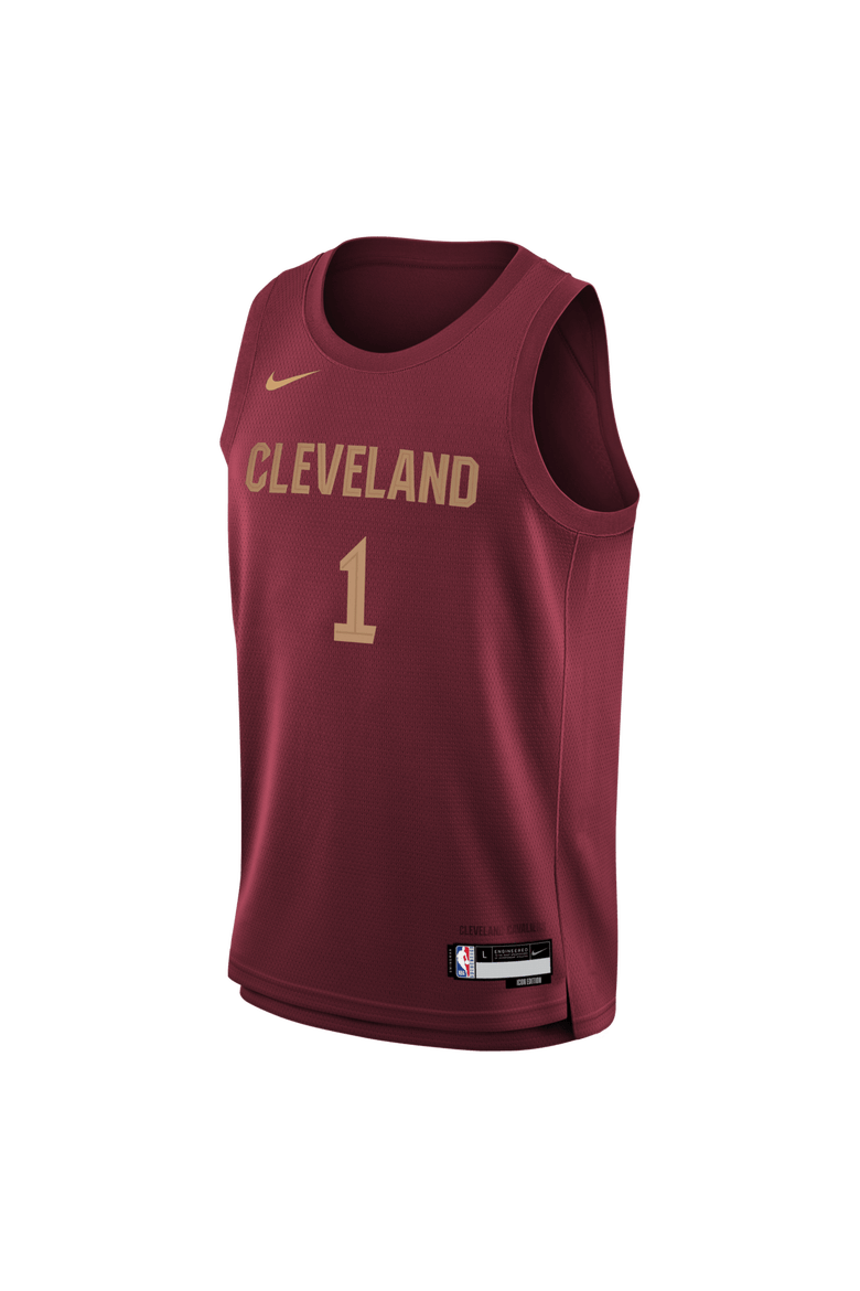 Youth Nike James Harden Wine Cleveland Cavaliers Swingman Jersey - Icon Edition, Alternate, color, Wine