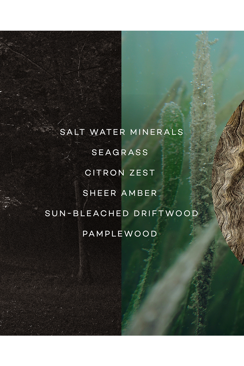 Drift - Seagrass & Salt Water - Classic 10.8 Oz / 306 G, Alternate, color, Standard Packaging