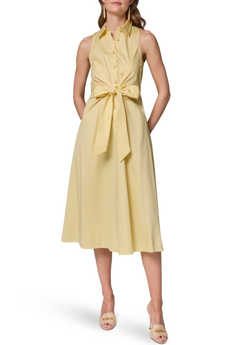 Sleeveless A-Line Midi Dress, Main, color, PANNA COTT