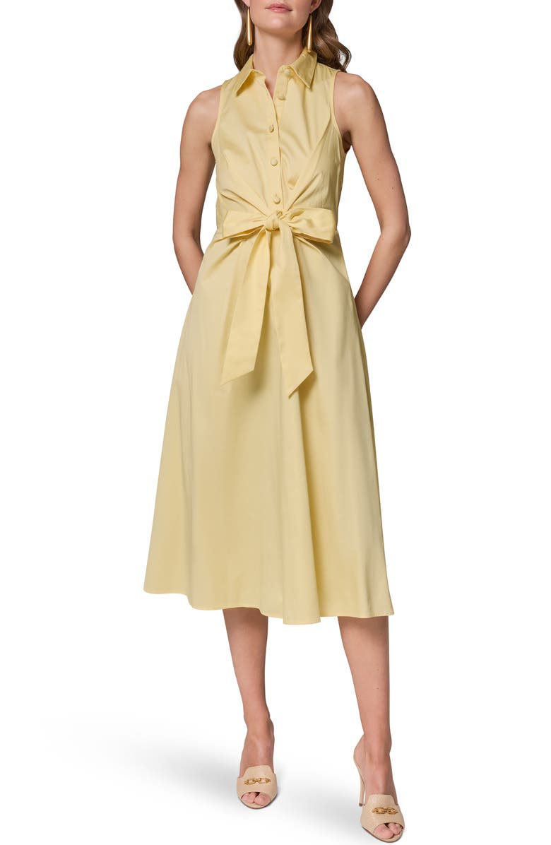 Donna Karan New York Sleeveless A-Line Midi Dress, Alternate, color,