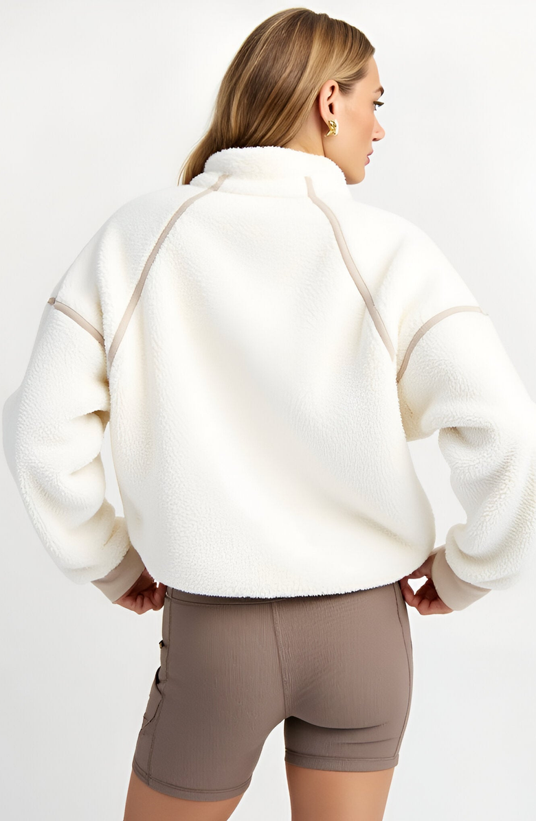 Modenaire Plush Quarter-Zip Pullover with High Collar and Ribbed Hem, Alternate, color, 