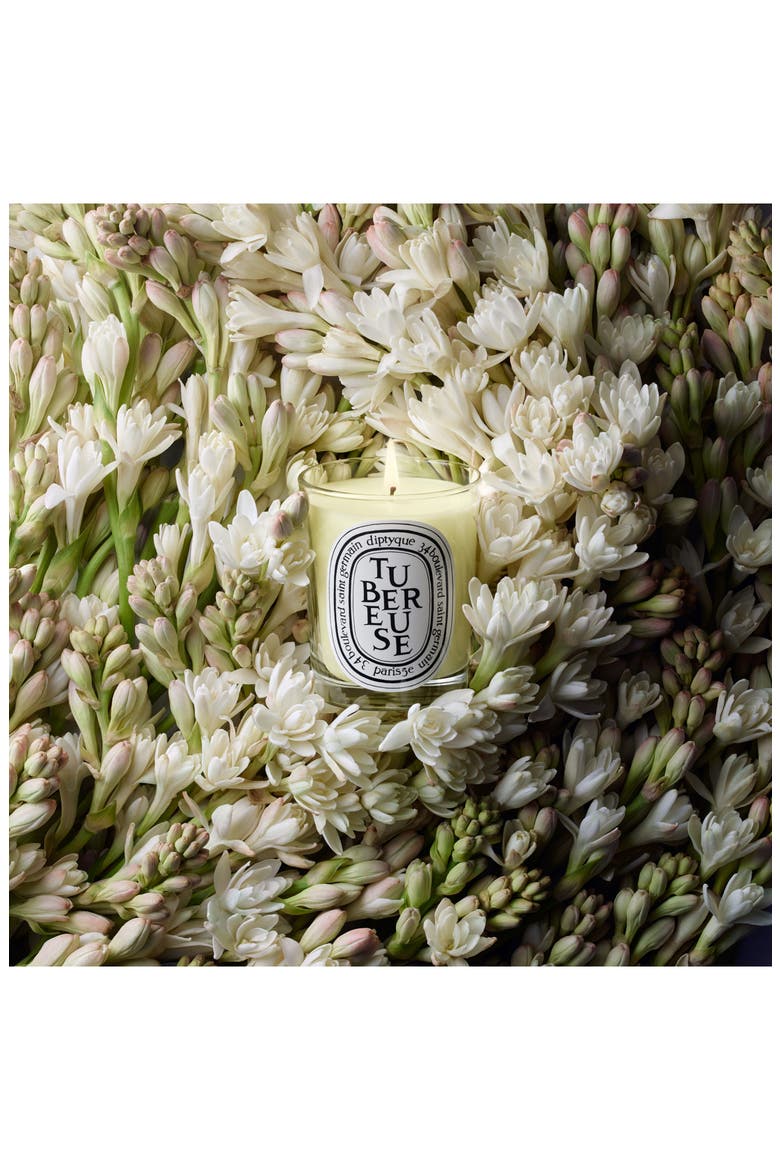 Iconic Candle Gift Set (Anniversary Exclusive) $138 Value, Alternate, color, NO COLOR