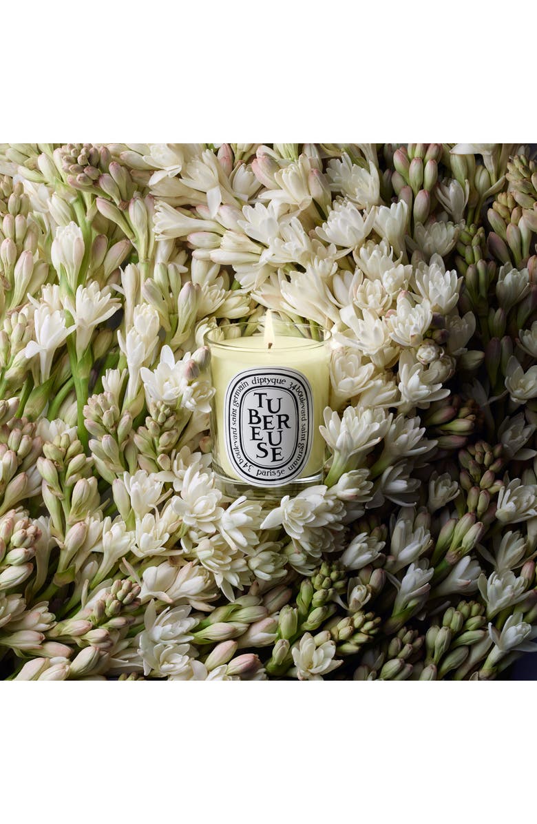 Diptyque Iconic Candle Gift Set (Anniversary Exclusive) $138 Value, Alternate, color,
