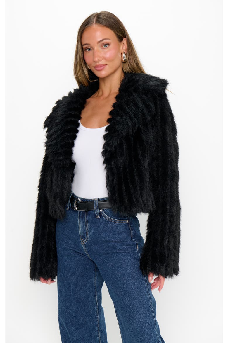 Salt Lake City Cropped Jacket, Alternate, color, Black Faux Fur