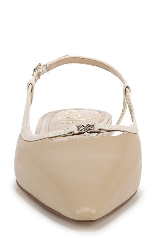 Sam Edelman Cohen Pointed Toe Flat In Oat/modern Ivory