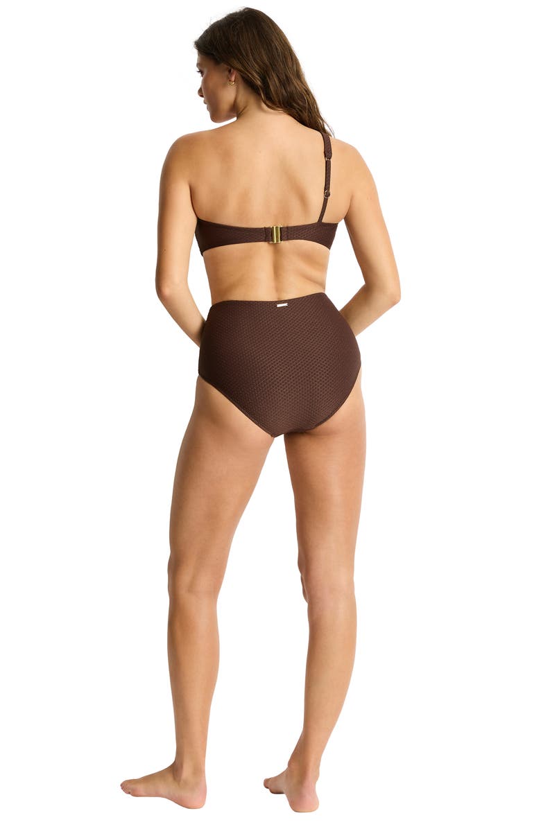 Sea Level Luminara One-Shoulder Bikini Top, Alternate, color, Cocoa