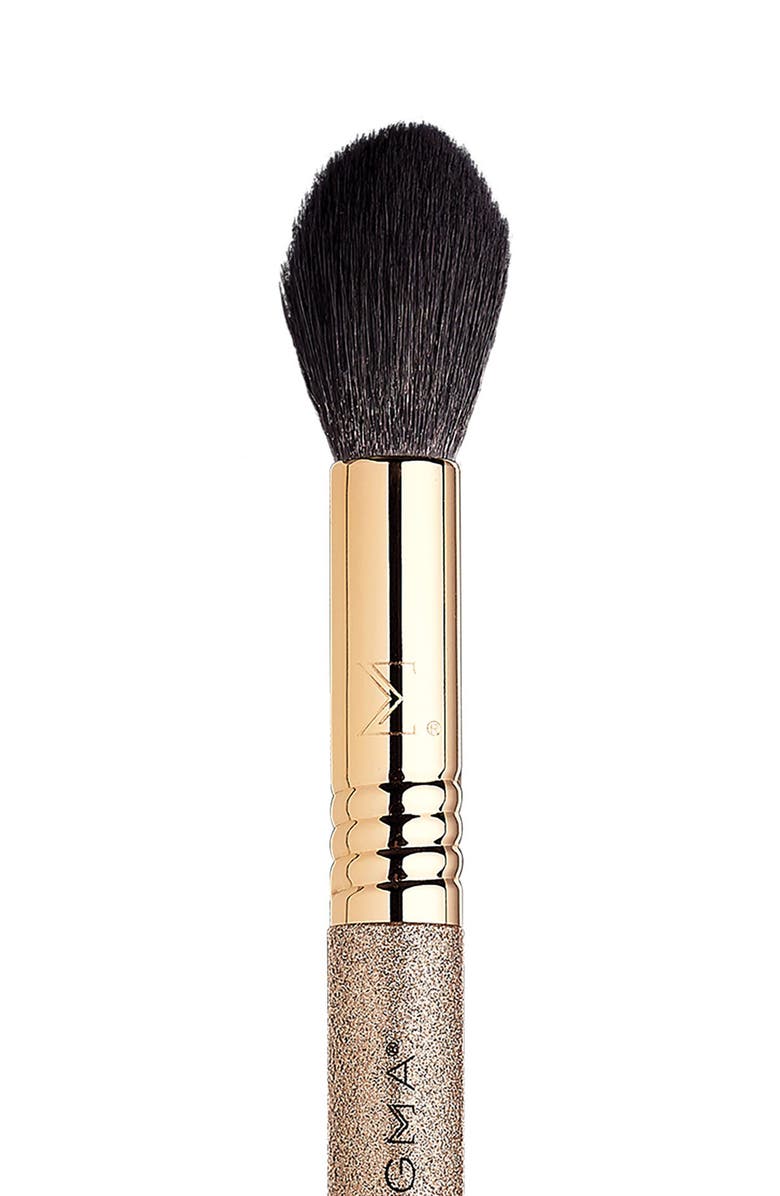 Sigma Beauty Radiant Glow Brush Set, Alternate, color, 