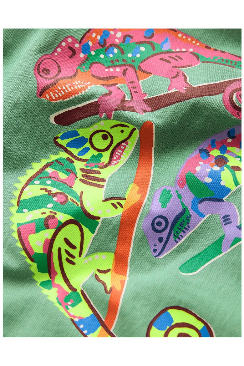 Kids' Short Sleeve Graphic T-Shirt, Alternate, color, TOURMALINE CHAMELEON