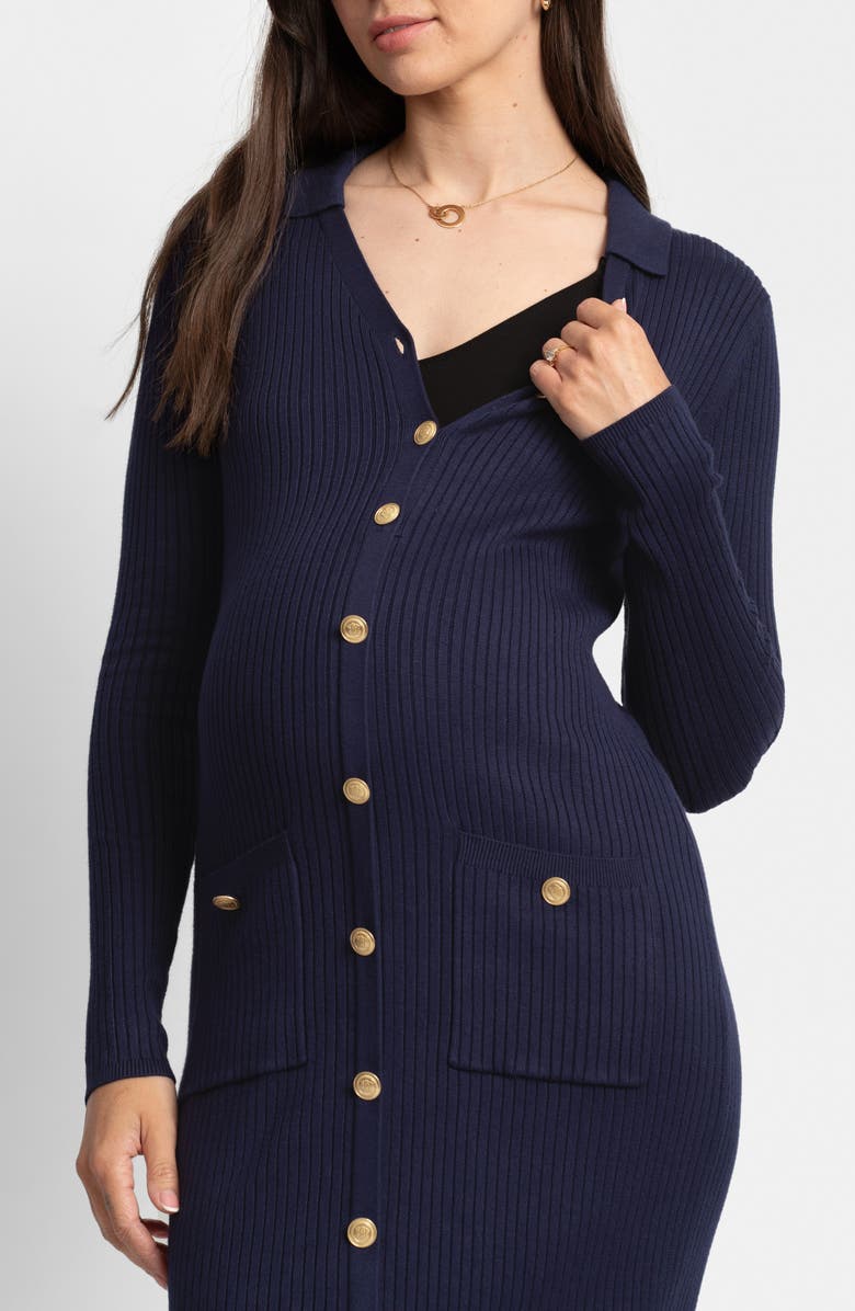 Seraphine Long Sleeve Maternity/Nursing Button-Up Sweater Dress, Alternate, color, 