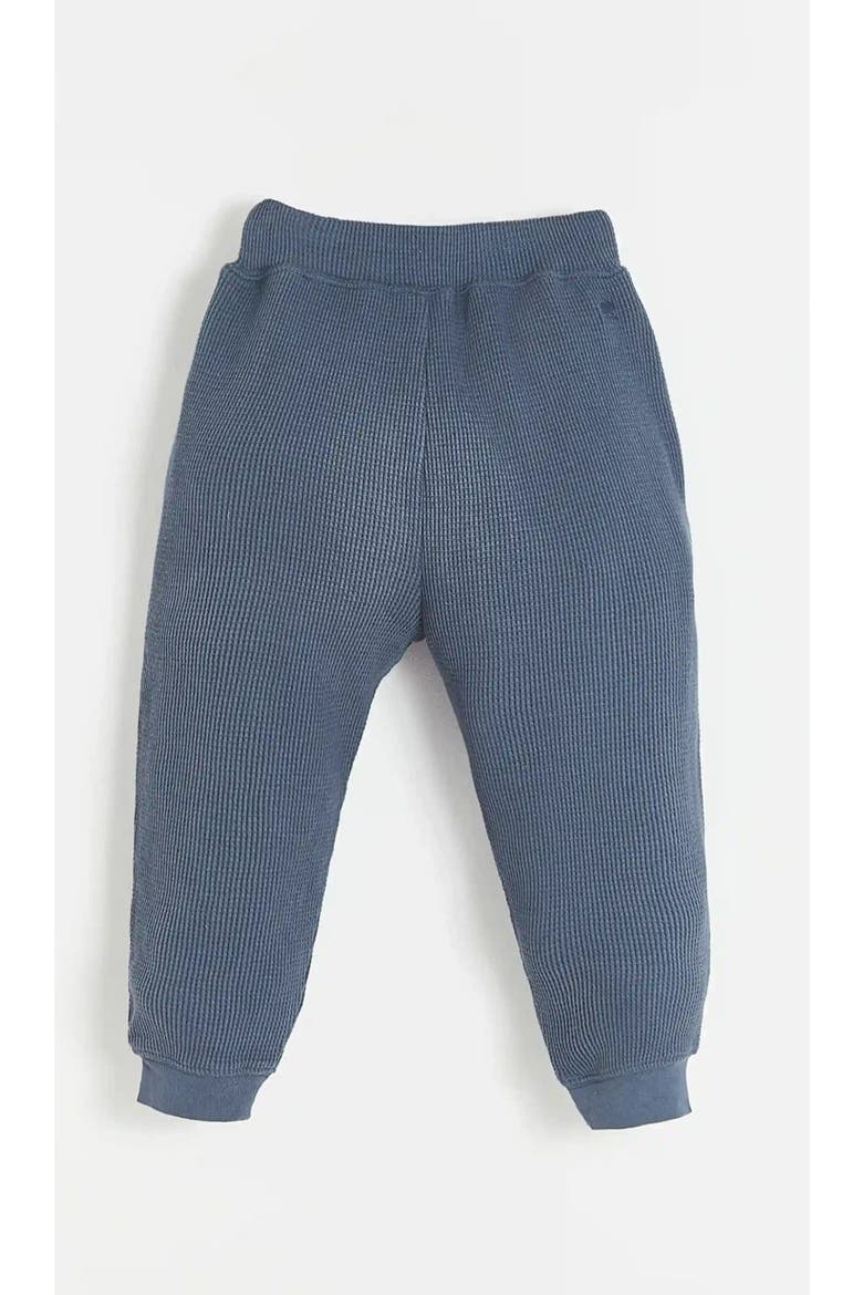 Waffle Jogger for Little Kid & Big Kid, Alternate, color, Blue-graphite