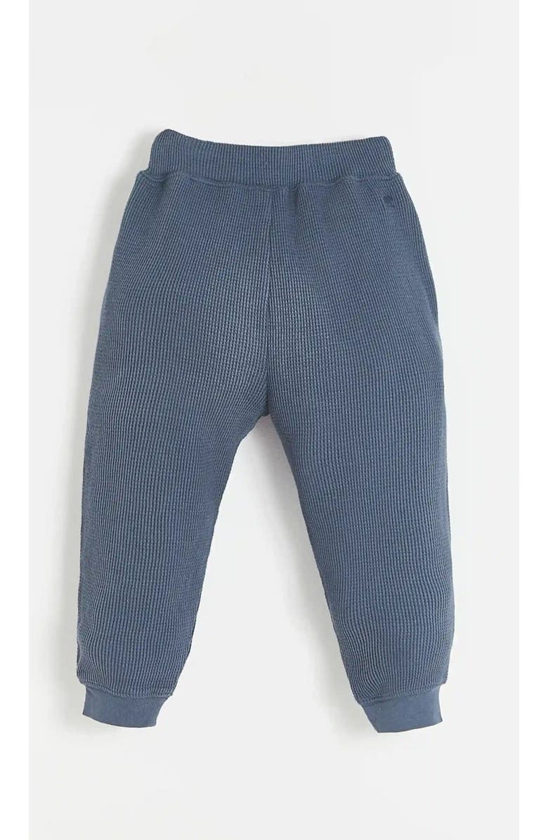 Babycottons Waffle Jogger for Little Kid & Big Kid, Alternate, color, Blue-Graphite