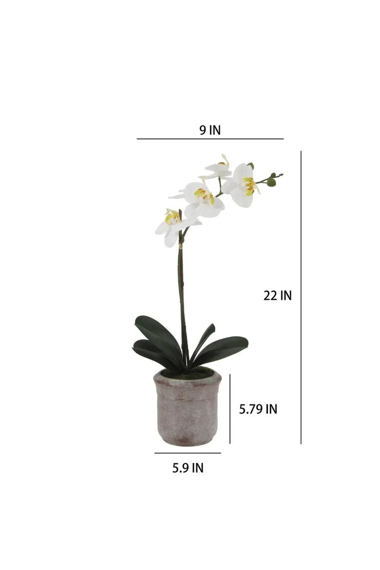 22" Artificial White Phalaenopsis Orchids, Set of 2, Main, color, White